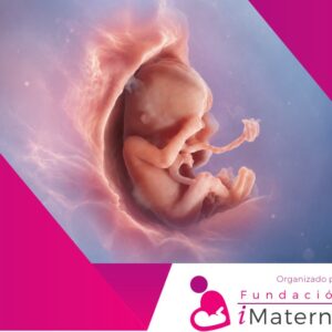 VI Curso Teórico-Práctico de Ecografía de Primer Trimestre.